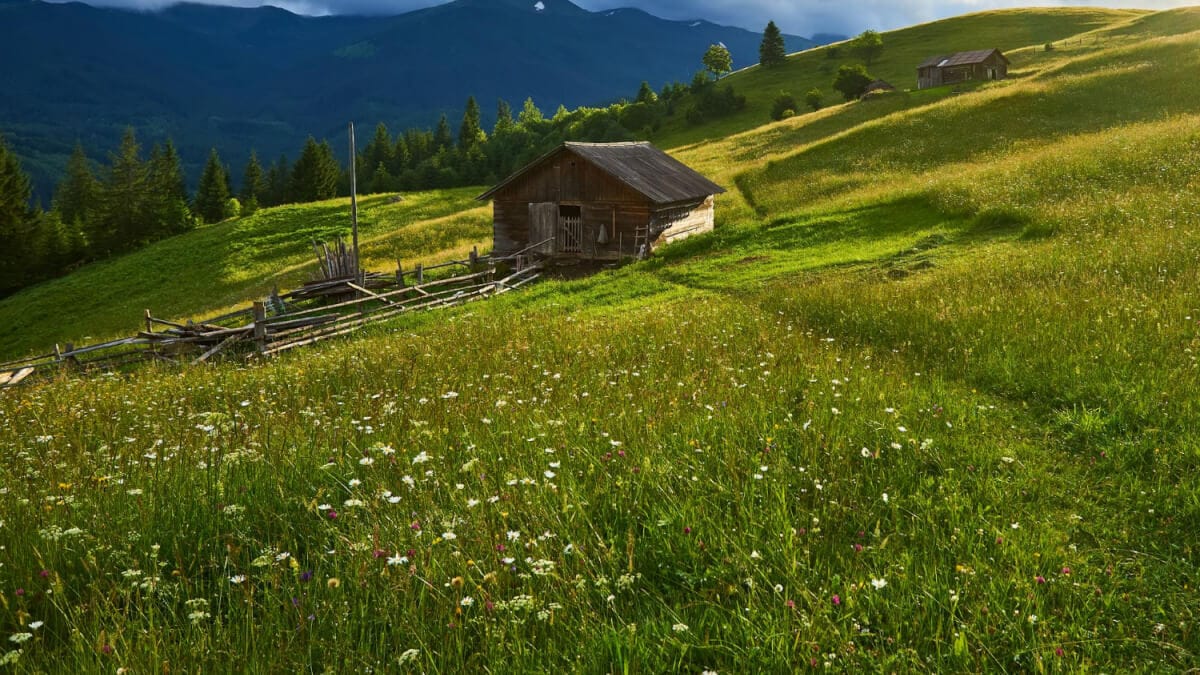 Hyra stuga illustration